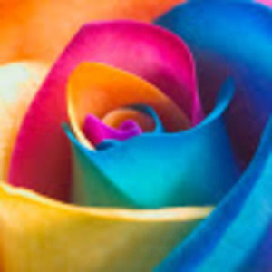 Meet your Posher, Reeta